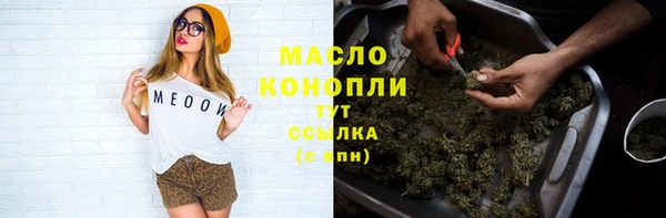 крисы Абаза