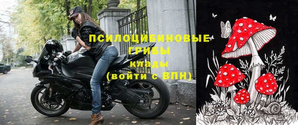 крисы Абаза