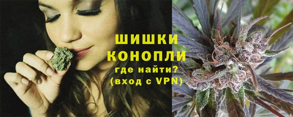 крисы Абаза