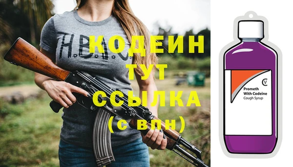 крисы Абаза
