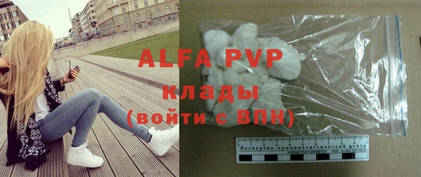 крисы Абаза