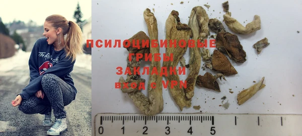 крисы Абаза