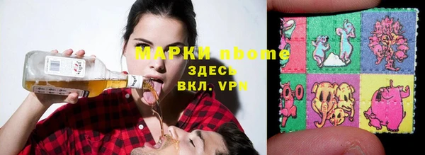 индика Михайловск